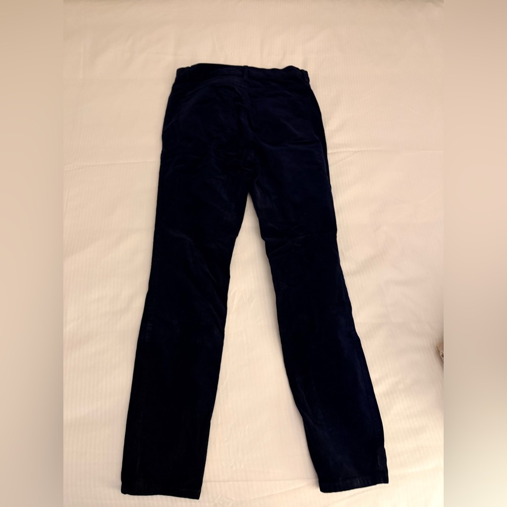 Ann Taylor LOFT Deep Blue Corduroy Pants